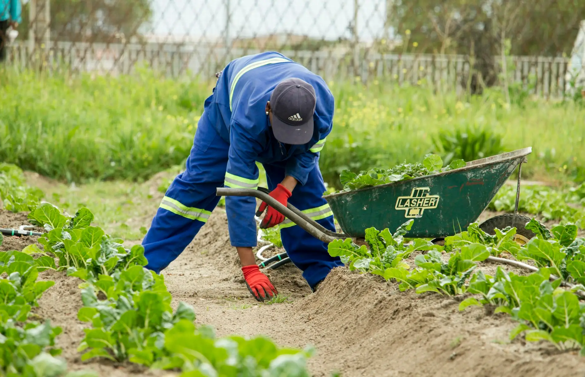 Hands working compost into garden soil.
