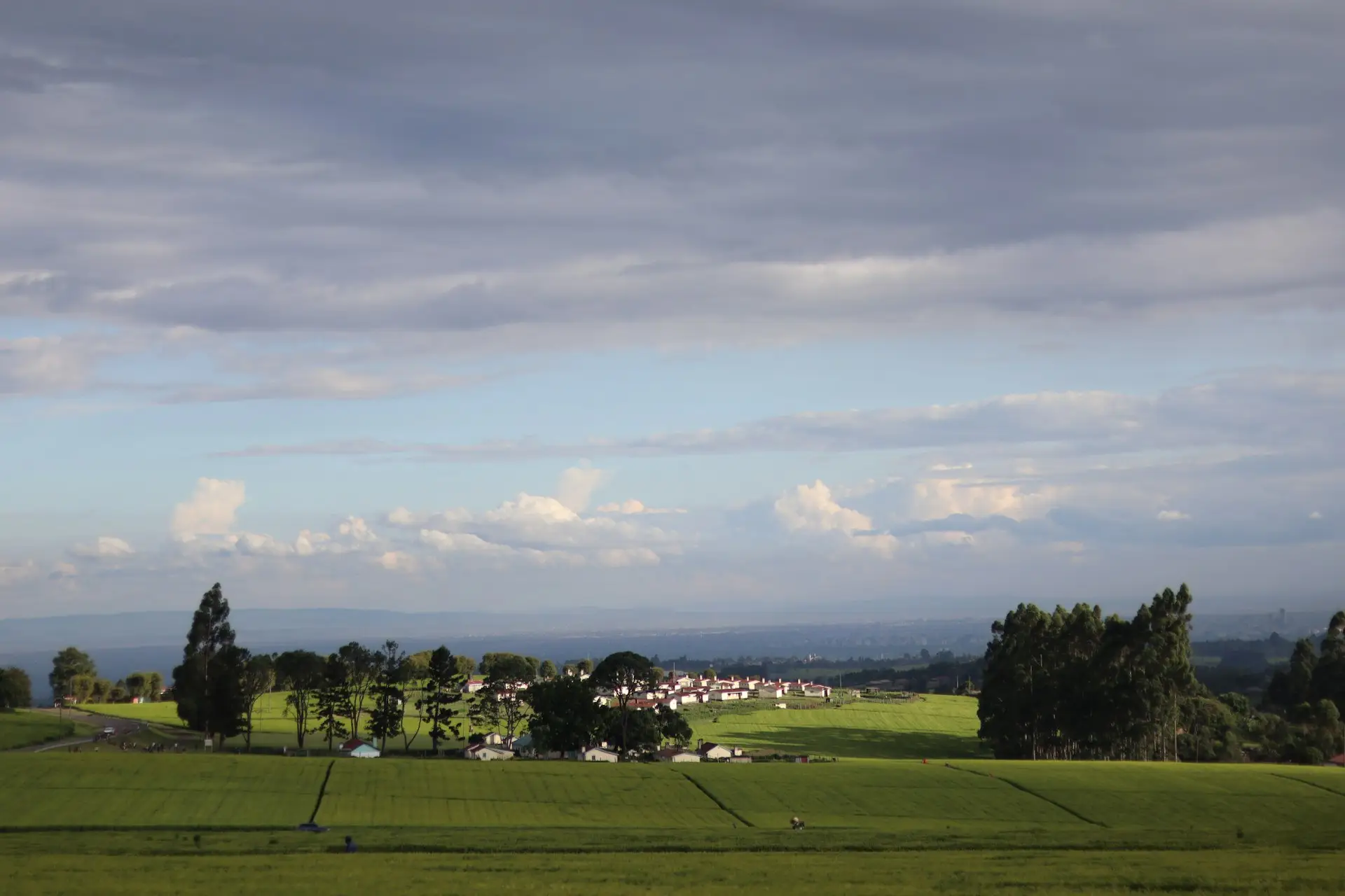 Farmland and homesteads in Limuru, Kenya.