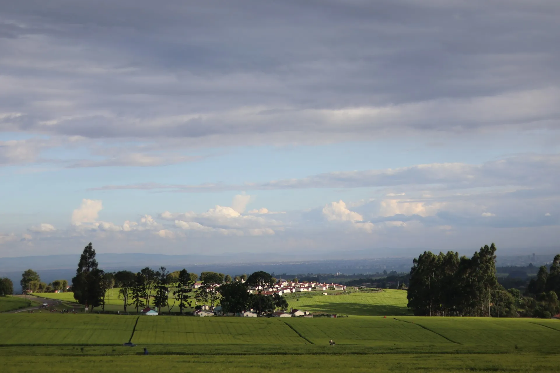 Farmland and homesteads in Limuru, Kenya.